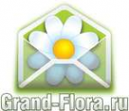 Логотип компании Доставка цветов Гранд Флора (ф-л г.Куйбышев)